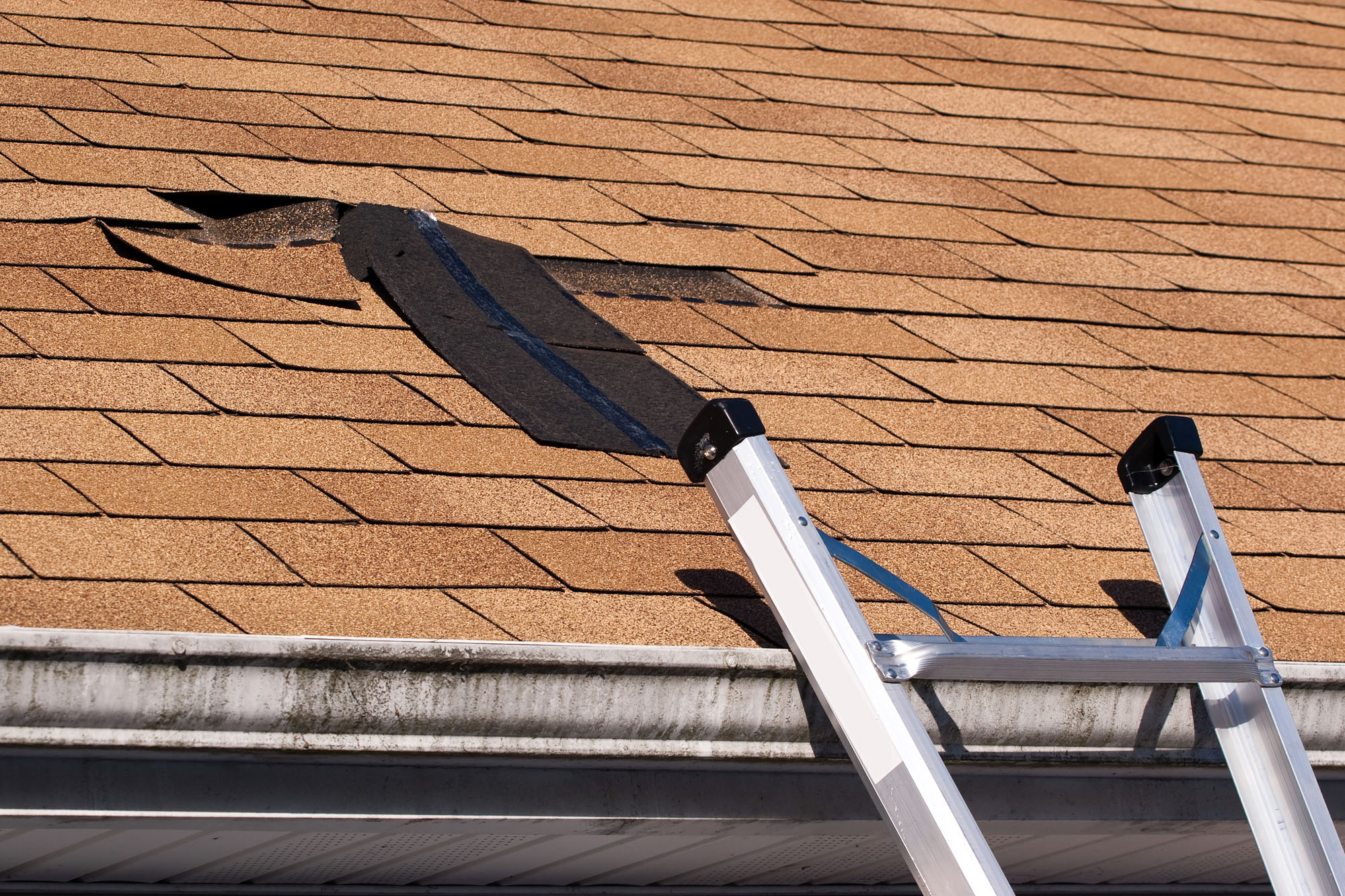 Roof Inspection and Repair Services in Palm Beach County, FL